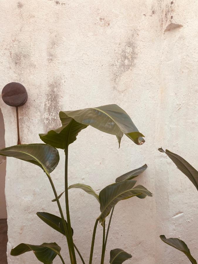 Corte San Giorgio 马蒂诺 外观 照片